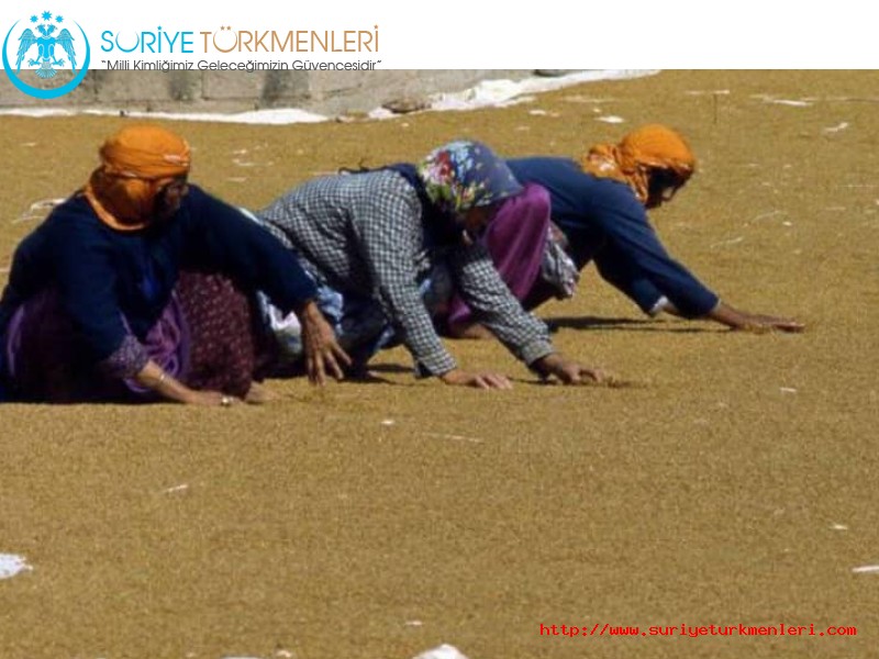 Suriyeli Türkmenler